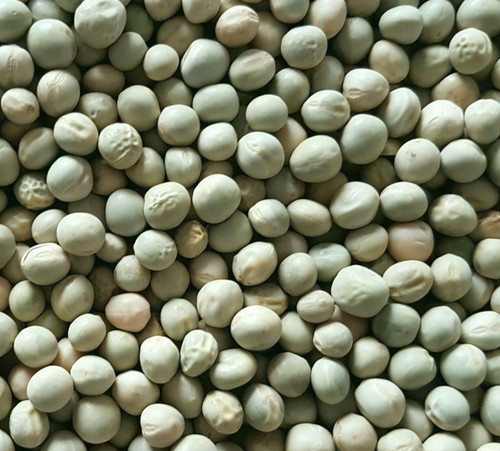 Grüne erbsen 5kg - erbsen,