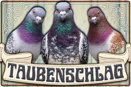 Retro blechschild taube - blechschild,