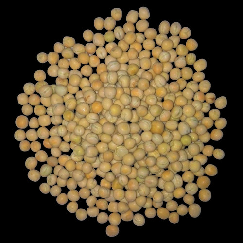 Futtererbsen gelb erbsen - kg,