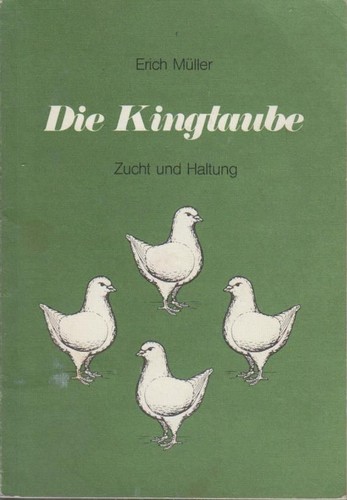 Die kingtaube zucht u - kingtaube, :