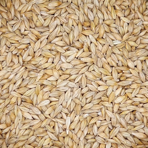 Gerste gestutzt gladen 2 5kg - gestutzt, 2,5kg