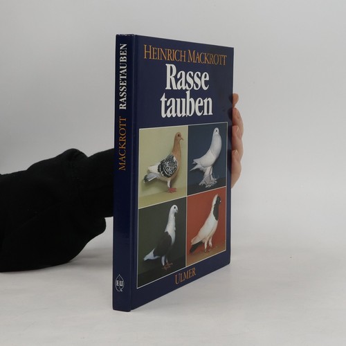 Rassetauben heinrich - rassetauben ,