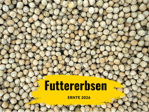 Gelbe futtererbsen 5kg 10kg - gelbe, in