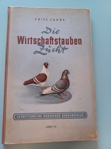 Die wirtschaftstauben zucht - wirtschaftstauben,