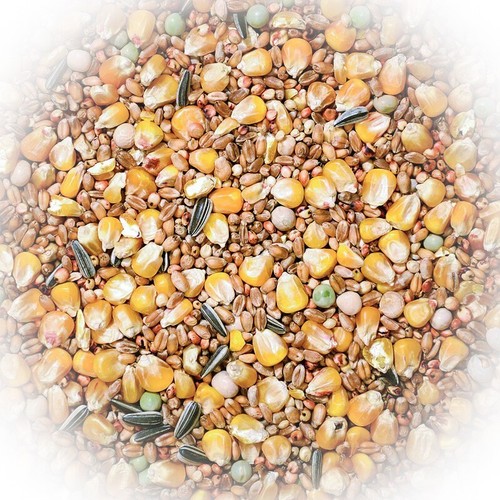 Fumyfutter 16 - (3,98€/kg)fumyfutter, nr.