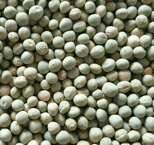 Grüne erbsen 5kg - erbsen,