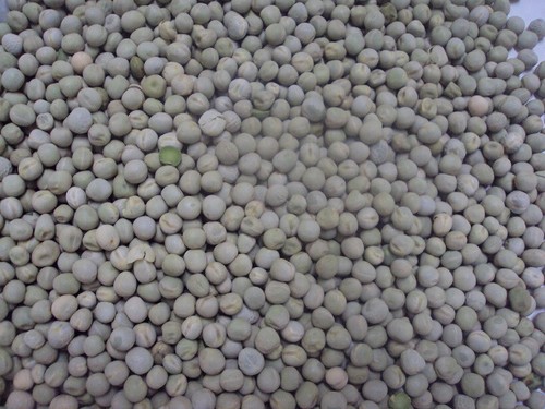5kg erbsen grün futtererbsen - erbsen,